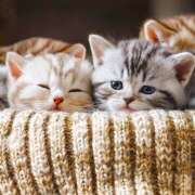 高岡まさみ こんにちは 五十路マダム愛されたい熟女たち岡山店（カサブランカグループ）