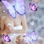 ヒメ日記 2025/01/29 07:48 投稿 木下愛梨 五十路マダム愛されたい熟女たち岡山店（カサブランカグループ）