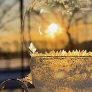 ヒメ日記 2025/01/22 22:44 投稿 名越早苗 五十路マダム愛されたい熟女たち岡山店（カサブランカグループ）