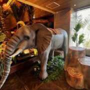 ヒメ日記 2025/06/21 23:22 投稿 名越早苗 五十路マダム愛されたい熟女たち岡山店（カサブランカグループ）