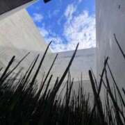 ヒメ日記 2025/07/24 09:36 投稿 名越早苗 五十路マダム愛されたい熟女たち岡山店（カサブランカグループ）