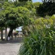 ヒメ日記 2025/08/18 23:16 投稿 名越早苗 五十路マダム愛されたい熟女たち岡山店（カサブランカグループ）