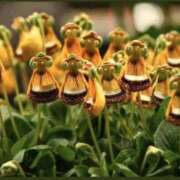 ヒメ日記 2025/09/22 11:04 投稿 名越早苗 五十路マダム愛されたい熟女たち岡山店（カサブランカグループ）