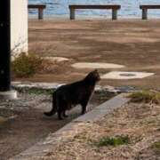 ヒメ日記 2025/12/19 01:12 投稿 名越早苗 五十路マダム愛されたい熟女たち岡山店（カサブランカグループ）