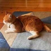 ヒメ日記 2026/03/11 14:18 投稿 名越早苗 五十路マダム愛されたい熟女たち岡山店（カサブランカグループ）