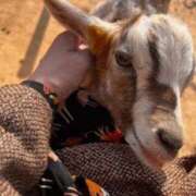 名越早苗 日中は、暖かい?? 五十路マダム愛されたい熟女たち岡山店（カサブランカグループ）