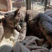 名越早苗 ありがとうございました?? 五十路マダム愛されたい熟女たち岡山店（カサブランカグループ）