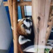 ヒメ日記 2025/05/21 16:40 投稿 有吉香織 五十路マダム愛されたい熟女たち岡山店（カサブランカグループ）