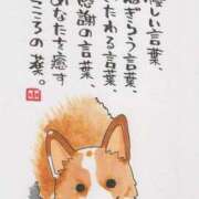 ヒメ日記 2026/02/11 07:16 投稿 水田まり 五十路マダム愛されたい熟女たち岡山店（カサブランカグループ）