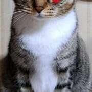 ヒメ日記 2026/02/22 23:54 投稿 水田まり 五十路マダム愛されたい熟女たち岡山店（カサブランカグループ）