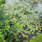 ヒメ日記 2025/06/19 15:04 投稿 柏木 おとなのわいせつ倶楽部 池袋店