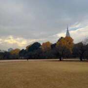 ヒメ日記 2025/12/26 15:04 投稿 柏木 おとなのわいせつ倶楽部 池袋店