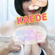 ヒメ日記 2024/12/13 13:09 投稿 かえで スイカ