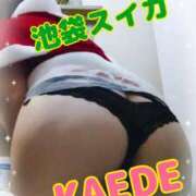 ヒメ日記 2024/12/18 18:06 投稿 かえで スイカ