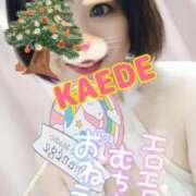 ヒメ日記 2024/12/18 22:28 投稿 かえで スイカ