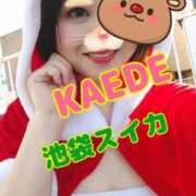 ヒメ日記 2024/12/21 09:20 投稿 かえで スイカ