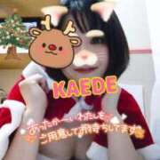 ヒメ日記 2024/12/21 12:57 投稿 かえで スイカ