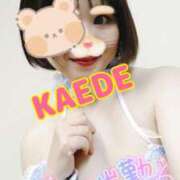 ヒメ日記 2024/12/27 12:47 投稿 かえで スイカ