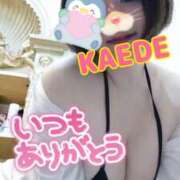 ヒメ日記 2025/01/07 17:24 投稿 かえで スイカ