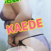 ヒメ日記 2025/01/10 17:36 投稿 かえで スイカ