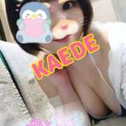 ヒメ日記 2025/01/11 15:34 投稿 かえで スイカ