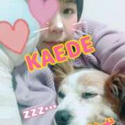 ヒメ日記 2025/01/14 23:07 投稿 かえで スイカ