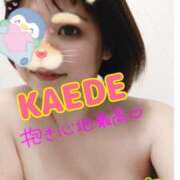 ヒメ日記 2025/01/21 11:52 投稿 かえで スイカ