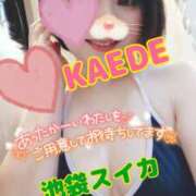 ヒメ日記 2025/01/25 11:33 投稿 かえで スイカ