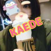 ヒメ日記 2025/01/28 14:55 投稿 かえで スイカ