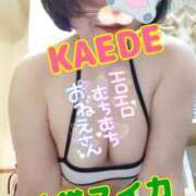 ヒメ日記 2025/01/28 22:27 投稿 かえで スイカ