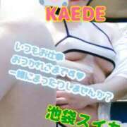 ヒメ日記 2025/01/30 23:09 投稿 かえで スイカ