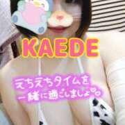 ヒメ日記 2025/02/01 15:08 投稿 かえで スイカ