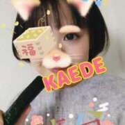 ヒメ日記 2025/02/02 19:49 投稿 かえで スイカ