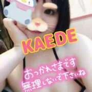 ヒメ日記 2025/02/05 23:28 投稿 かえで スイカ