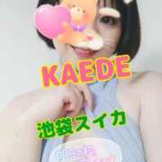 ヒメ日記 2025/02/07 17:29 投稿 かえで スイカ