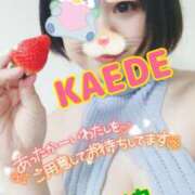 ヒメ日記 2025/02/08 09:15 投稿 かえで スイカ