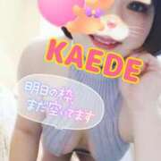 ヒメ日記 2025/02/10 22:34 投稿 かえで スイカ