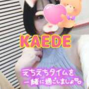 ヒメ日記 2025/02/13 15:55 投稿 かえで スイカ