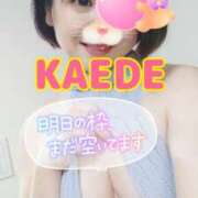 ヒメ日記 2025/02/14 13:19 投稿 かえで スイカ