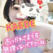 ヒメ日記 2025/02/19 00:00 投稿 かえで スイカ