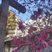 ヒメ日記 2025/02/19 17:26 投稿 かえで スイカ