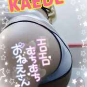 ヒメ日記 2025/02/20 14:05 投稿 かえで スイカ