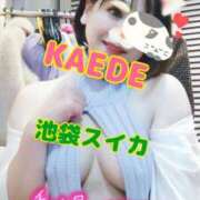 ヒメ日記 2025/02/21 21:25 投稿 かえで スイカ