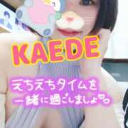 ヒメ日記 2025/02/22 15:58 投稿 かえで スイカ