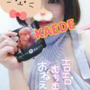 ヒメ日記 2025/02/24 17:03 投稿 かえで スイカ