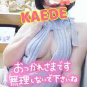 ヒメ日記 2025/02/26 20:50 投稿 かえで スイカ