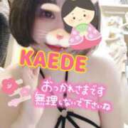 ヒメ日記 2025/03/03 17:04 投稿 かえで スイカ