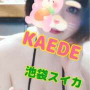 ヒメ日記 2025/03/08 15:36 投稿 かえで スイカ