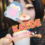 ヒメ日記 2025/03/10 23:34 投稿 かえで スイカ