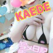 ヒメ日記 2025/03/11 22:11 投稿 かえで スイカ